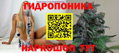 твердый Краснокаменск