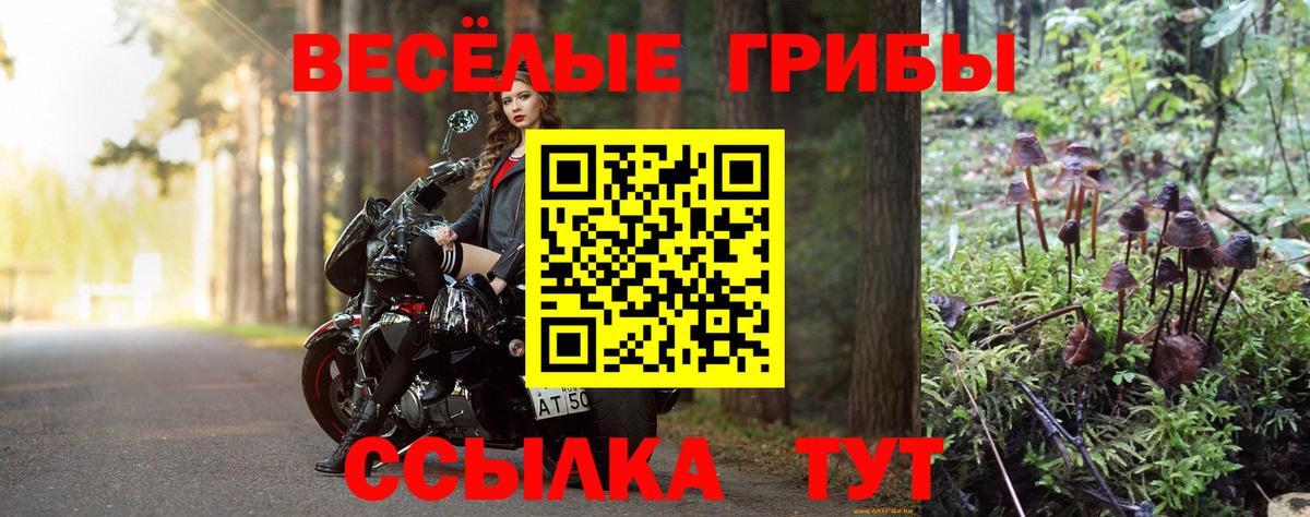 Фролово  Галлюциногенные грибы мухоморы  Вход с VPN 